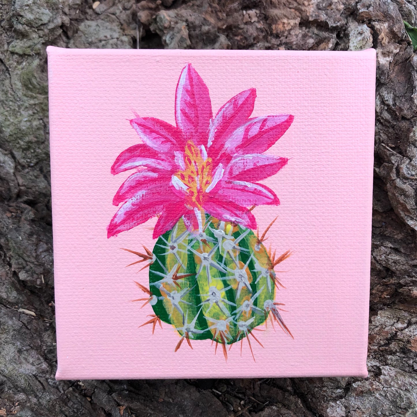 Cactus Flower Original Acrylic Painting